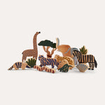 Safari Animal Box (Set of 12)